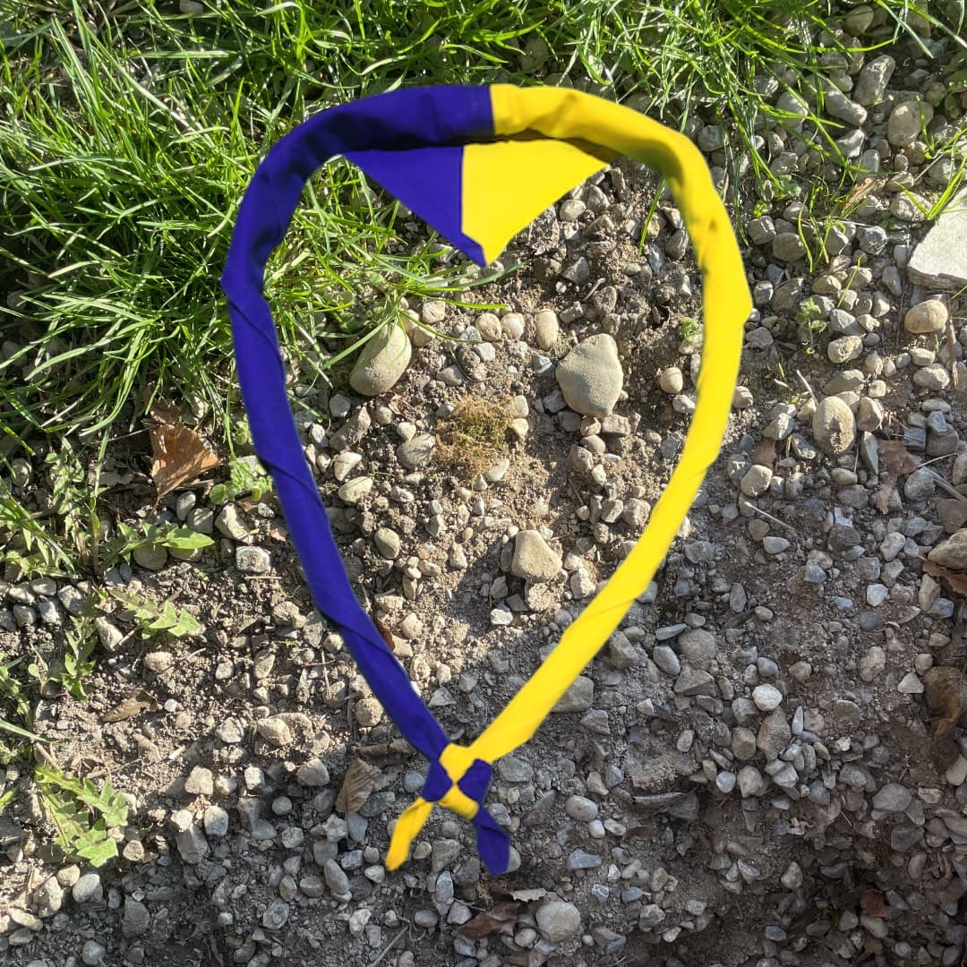 Pfadikrawatte von der Abteilung Pfadi Arbor Felix Buebe